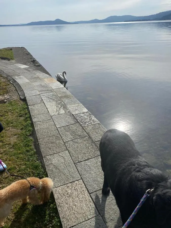 Frühstückspension B&B La Rosa Del Lago Reno Di Leggiuno