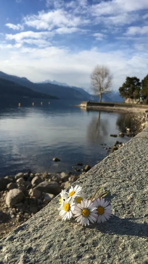 Frühstückspension B&B La Rosa Del Lago Reno Di Leggiuno Italien